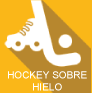 rink-hockey