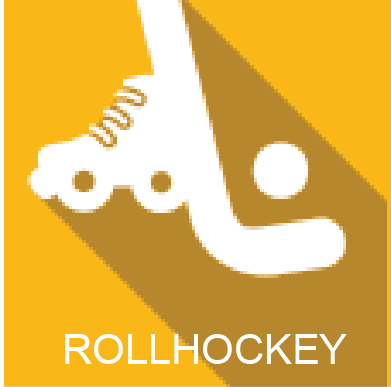 roll-hockey