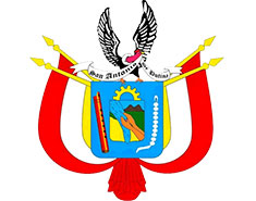 Coliseo Puntina Puno