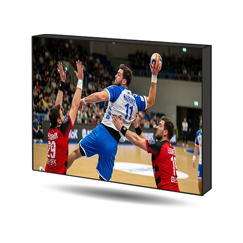 Indoor or outdoor LED video screen for sports facilities